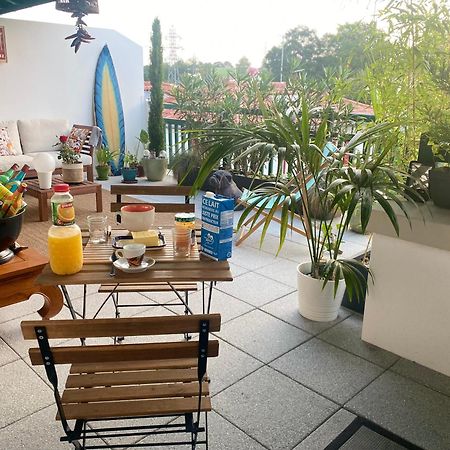 Chambre D'Hote Cosy Hiriburu Saint-Pierre-dʼIrube المظهر الخارجي الصورة