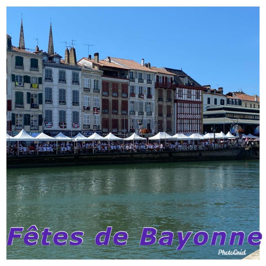 Chambre D'Hote Cosy Hiriburu Saint-Pierre-dʼIrube المظهر الخارجي الصورة